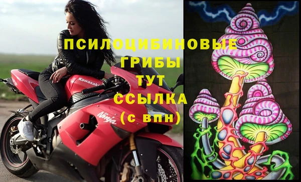 каннабис Арсеньев