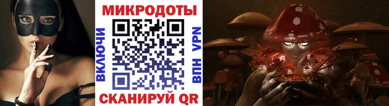 Галлюциногенные грибы Psilocybe  hydra ТОР  Нижний Ломов 